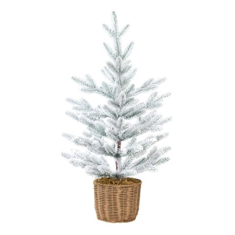 PINETTO DOUGLAS INNEVATO C CES